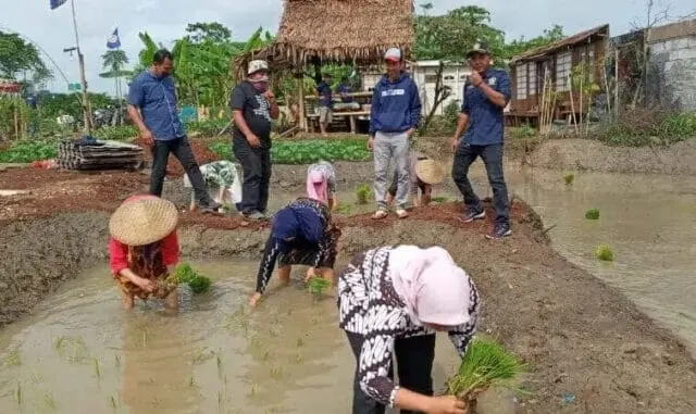 Keren, di Kecamatan Pinang Ada Lokasi Agrowisata Buat Selingkuh Keren, di Kecamatan Pinang Ada Lokasi Agrowisata Buat Selingkuh