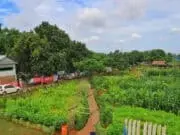 Kota Tangerang Punya Agrowisata Baru Loh ! Cek Lokasinya Kota Tangerang Punya Agrowisata Baru Loh ! Cek Lokasinya