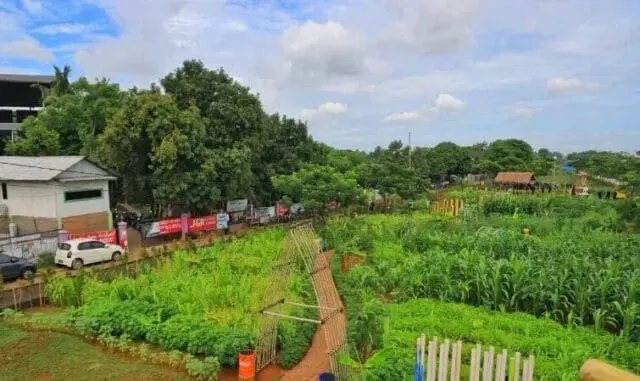 Kota Tangerang Punya Agrowisata Baru Loh ! Cek Lokasinya Kota Tangerang Punya Agrowisata Baru Loh ! Cek Lokasinya