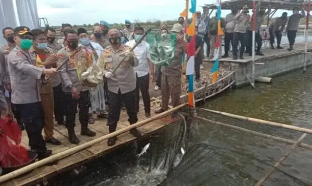4 Ton Bandeng Dipanen Polres Metro Tangerang Kota, Dibagikan ke Masyarakat 4 Ton Bandeng Dipanen Polres Metro Tangerang Kota, Dibagikan ke Masyarakat