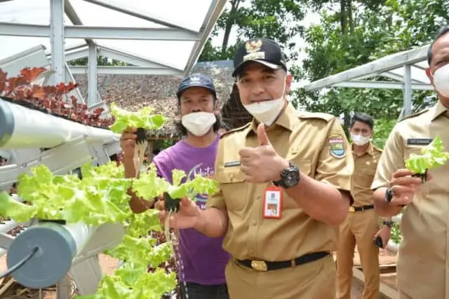 Bupati Tangerang: PT.BPU Bisa Menjadi Mitra Para Petani Desa Sodong Bupati Tangerang: PT.BPU Bisa Menjadi Mitra Para Petani Desa Sodong
