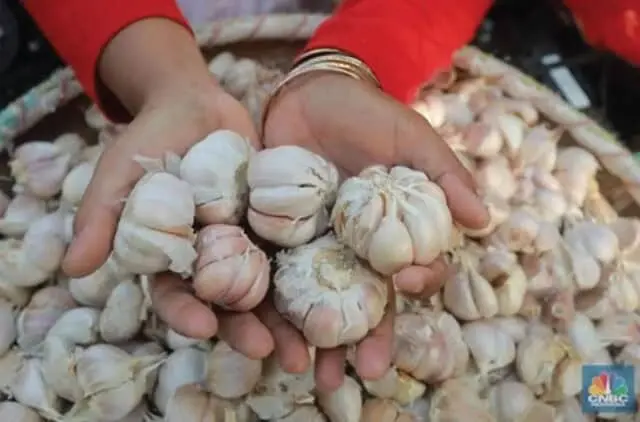 Manfaat Bawang Putih Bagi Kesehatan Manfaat Bawang Putih Bagi Kesehatan