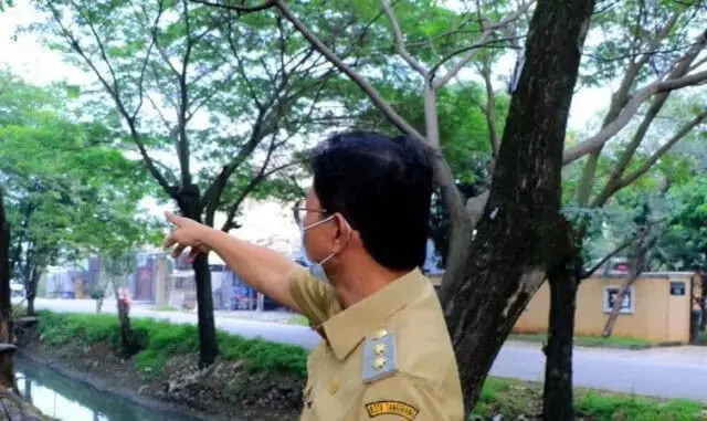 Antisipasi Musibah, Disbudparman Kota Tangerang Lakukan Pemangkasan Pohon Antisipasi Musibah, Disbudparman Kota Tangerang Lakukan Pemangkasan Pohon