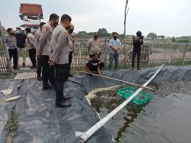 Kapolresta Tangerang Pastikan Proyek Ketahanan Pangan Kabaharkam Polri di Mauk Berkelanjutan Kapolresta Tangerang Pastikan Proyek Ketahanan Pangan Kabaharkam Polri di Mauk Berkelanjutan