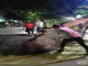 Betonisasi Jalan Utama GIC di Soal, LSM LipanHam Sebut Ada Indikasi Perampokan Berjamaah Betonisasi Jalan Utama GIC di Soal, LSM LipanHam Sebut Ada Indikasi Perampokan Berjamaah