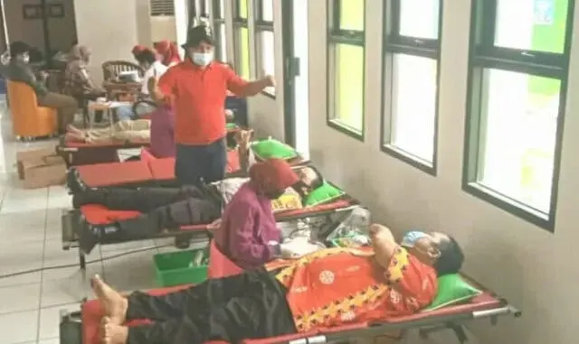 PMI Pinang dan SUF Gelar Donor Darah, Plasma Konvalesen Paling Dicari PMI Pinang dan SUF Gelar Donor Darah, Plasma Konvalesen Paling Dicari