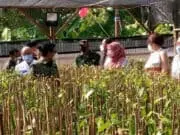Resmikan Wisata di Panimbang, Pemprov Banten Perkecil Disparitas Antar Wilayah Resmikan Wisata di Panimbang, Pemprov Banten Perkecil Disparitas Antar Wilayah