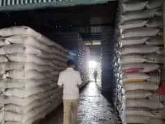 Bulog Lebak Pandeglang, Stok Beras Cukup Hingga Enam Bulan ke Depan Bulog Lebak Pandeglang, Stok Beras Cukup Hingga Enam Bulan ke Depan