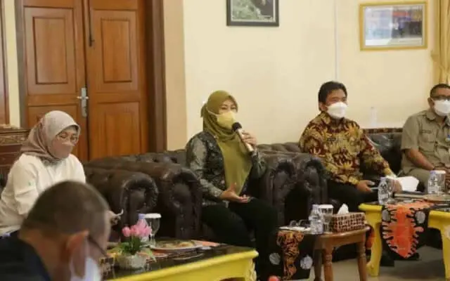 Kabupaten Pandeglang Jadi Sentra Budi Daya Tanaman Porang Kabupaten Pandeglang Jadi Sentra Budi Daya Tanaman Porang
