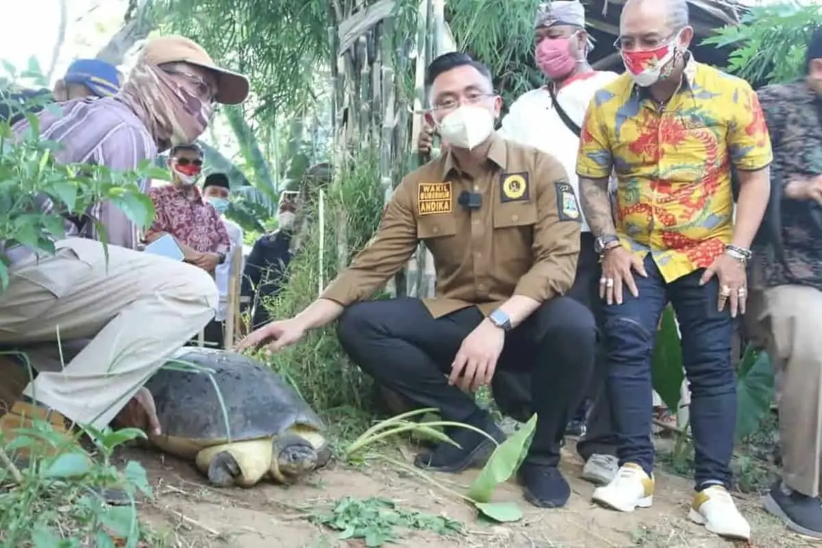 Peringati Hari Sungai Sedunia, Wagub Banten Lepasliarkan Kura-kura ke Cisadane Peringati Hari Sungai Sedunia, Wagub Banten Lepasliarkan Kura-kura ke Cisadane
