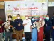 Tangkal Penyakit Rabies, Pemkab Pandeglang Gelar Vaksinasi Hewan Peliharaan