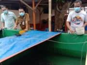 Berawal Dari Pelatihan Bertahan Ditengah Pandemi, KUTIL di Cimone Berlimpah Lele