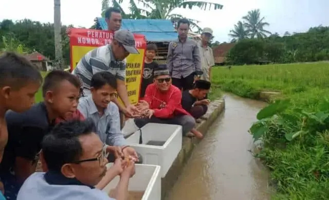 PJS Desa Ciherang Tebar Benih 2.000 Ikan ke Sungai-sungai warga di Gunungsari Serang PJS Desa Ciherang Tebar Benih 2.000 Ikan ke Sungai-sungai warga di Gunungsari Serang