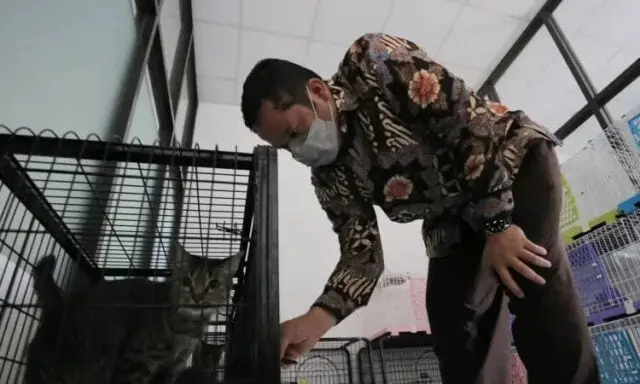 HSPN 2021, Arief: Tingkatkan Kepedulian terhadap Puspa dan Satwa HSPN 2021, Arief: Tingkatkan Kepedulian terhadap Puspa dan Satwa