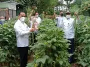Wisata Edukasi Milik DLH Kota Tangerang Bagi-Bagi Hasil Panen ke Warga
