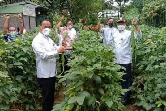 Wisata Edukasi Milik DLH Kota Tangerang Bagi-Bagi Hasil Panen ke Warga Wisata Edukasi Milik DLH Kota Tangerang Bagi-Bagi Hasil Panen ke Warga