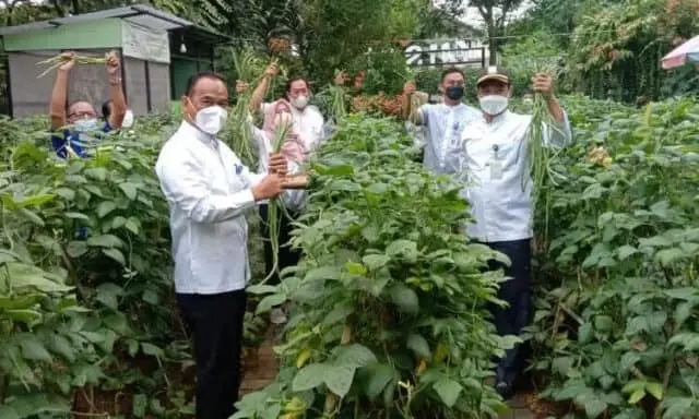 Wisata Edukasi Milik DLH Kota Tangerang Bagi-Bagi Hasil Panen ke Warga Wisata Edukasi Milik DLH Kota Tangerang Bagi-Bagi Hasil Panen ke Warga