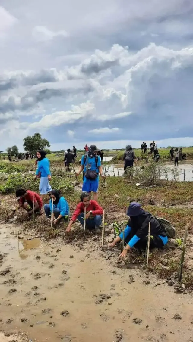 Komunitas Pecinta Alam Tangerang Tanam 1000 Pohon Mangrove di Kronjo Komunitas Pecinta Alam Tangerang Tanam 1000 Pohon Mangrove di Kronjo
