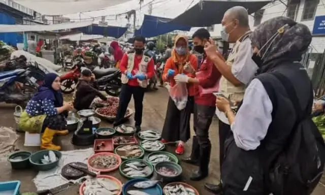 DKP Awasi Pangan Jelang Natal 2021 dan Tahun Baru 2022 di Kota Tangerang DKP Awasi Pangan Jelang Natal 2021 dan Tahun Baru 2022 di Kota Tangerang