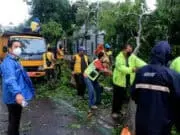 Korban Tertimpa Pohon Tumbang di Kota Tangerang Diberi Santunan, Berapa Nilainya? Korban Tertimpa Pohon Tumbang di Kota Tangerang Diberi Santunan, Berapa Nilainya?