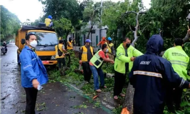 Korban Tertimpa Pohon Tumbang di Kota Tangerang Diberi Santunan, Berapa Nilainya? Korban Tertimpa Pohon Tumbang di Kota Tangerang Diberi Santunan, Berapa Nilainya?