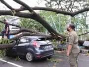 Hujan Lebat dan Angin Kencang Melanda Kota Tangerang, Sejumlah Pohon Tumbang Hujan Lebat dan Angin Kencang Melanda Kota Tangerang, Sejumlah Pohon Tumbang