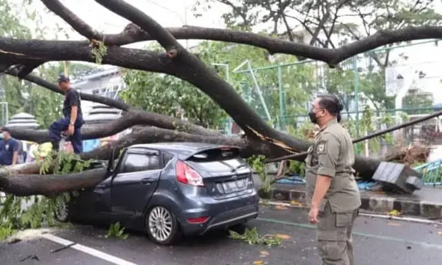 Hujan Lebat dan Angin Kencang Melanda Kota Tangerang, Sejumlah Pohon Tumbang Hujan Lebat dan Angin Kencang Melanda Kota Tangerang, Sejumlah Pohon Tumbang