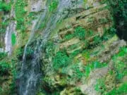 Pemerintah Desa Warungbanten Buka Akses Wisata Curug Renyay, Ekonomi Diharapkan Meningkat Curug Renyay berlokasi di Kampung Cikoneng, RT 01/ RW 06, Desa Warungbanten, Kecamatan Cibeber, Kabupaten Lebak, Banten.