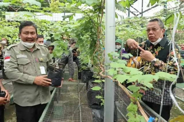Hadiri Milad Komunitas Anggur Tangsel, Benyamin: Akan Jadikan Tangsel Kota Anggur Hadiri Milad Komunitas Anggur Tangsel, Benyamin: Akan Jadikan Tangsel Kota Anggur