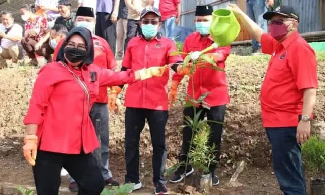 Tanam 5000 Pohon Serentak, PDI Perjuangan Ajak Rakyat Lestarikan Lingkungan