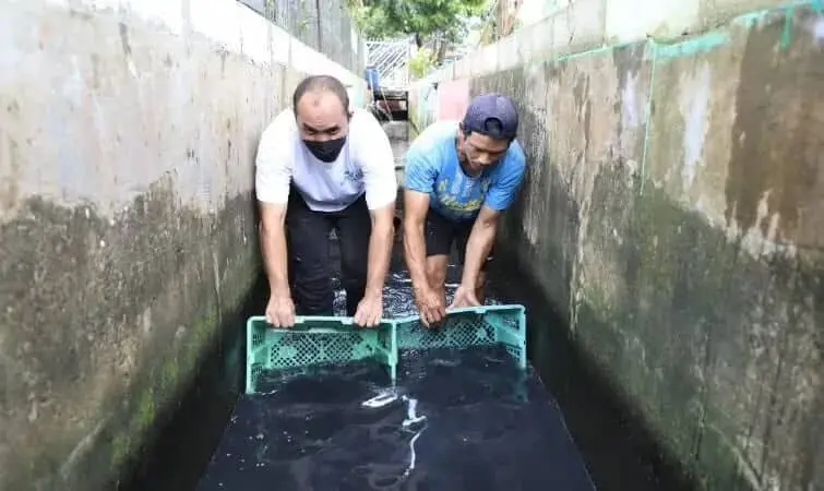 Inspirasi, Budidaya Ikan Dalam Selokan Air di Karang Anyar