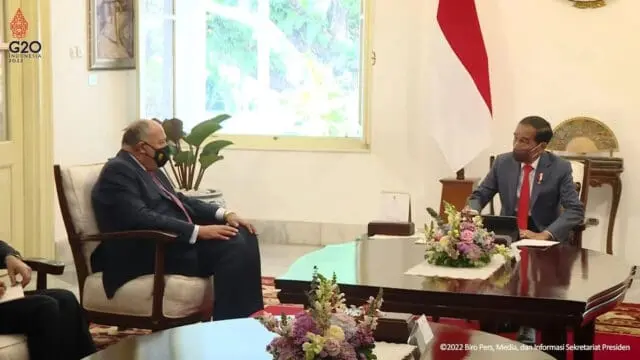 Jokowi Berhasil Jaga Tren Positif Perdagangan RI-Mesir Di Tengah Pandemi Jokowi Berhasil Jaga Tren Positif Perdagangan RI-Mesir Di Tengah Pandemi