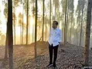 Jokowi Pastikan IKN Nusantara Sebagai Kota Hutan dan Hijau Jokowi Pastikan IKN Nusantara Sebagai Kota Hutan dan Hijau