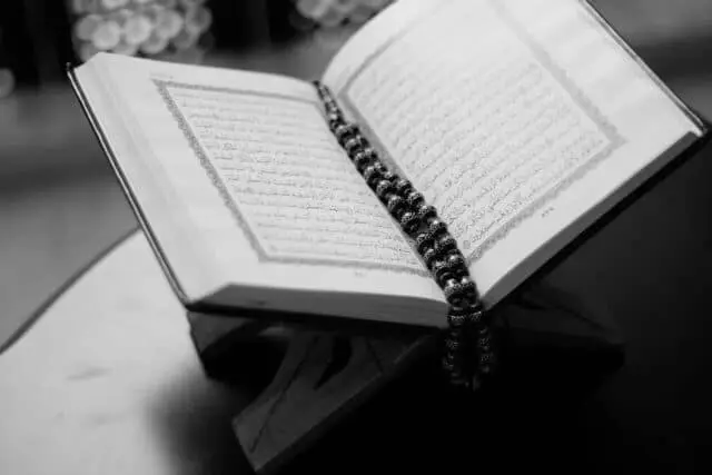 Berburu Pahala di Malam Nisfu Sya'ban Berikut Amalan yang Bisa Dikerjakan Berburu Pahala di Malam Nisfu Sya'ban Berikut Amalan yang Bisa Dikerjakan