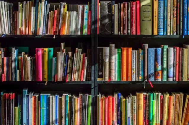 Read more, See More Read more, See More