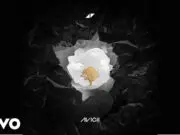 Lirik Lagu Without You Avicii ft. Sandro Cavazza dan Terjemahan Lirik Lagu Without You Avicii ft. Sandro Cavazza dan Terjemahan