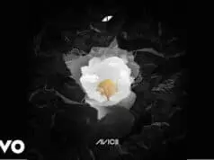 Lirik Lagu Without You Avicii ft. Sandro Cavazza dan Terjemahan Lirik Lagu Without You Avicii ft. Sandro Cavazza dan Terjemahan