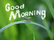 7 Tips menjadi ‘Morning Person’ 7 Tips menjadi 'Morning Person'