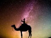 Sikap Seorang Muslim Dalam Menyambut Bulan Suci Ramadhan Sikap seorang muslim dalam menyambut bulan suci Ramadhan.