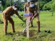 DLHK Kabupaten Tangerang Terus Menjaga dan Melestarikan Lingkungan Hidup, Begini Terobosannya Kepala Dinas DLHK, Achmad Taufik saat menanam bibit pohon.