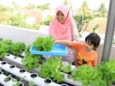Bertani di Tengah Perkotaan Tak Perlu Biaya Banyak, Simak Disini? Bertani di Tengah Perkotaan Tak Perlu Biaya Banyak, Simak Disini?