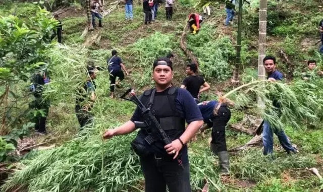 Joss! Buru Tersangka ke Ujung Sumatera, Polda Banten Dapati 3 Hektar Ladang Ganja Joss! Buru Tersangka ke Ujung Sumatera, Polda Banten Dapati 3 Hektar Ladang Ganja