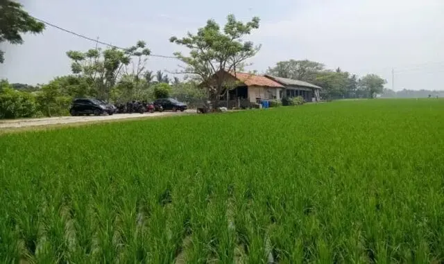 Dilaporkan, Perusak Portal Masuk Padi Padi di Pakuhaji Tangerang Jadi Tersangka