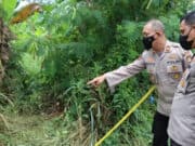 Diduga Duel Maut Sesama Sopir Angkot di Tangerang, Satu Tewas Satu Diburu Polisi Diduga Duel Maut Sesama Sopir Angkot di Tangerang, Satu Tewas Satu Diburu Polisi