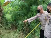 Diduga Duel Maut Sesama Sopir Angkot di Tangerang, Satu Tewas Satu Diburu Polisi