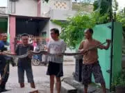 Warga Gardenia Sepatan Tangerang, Digegerkan Penemuan Ular Phyton 3 Meter