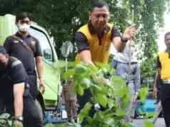 Antisipasi Pohon Tumbang, Ini Yang Dilakukan Polisi Tangerang Antisipasi Pohon Tumbang, Ini Yang Dilakukan Polisi Tangerang