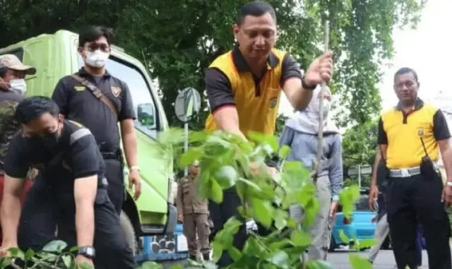 Antisipasi Pohon Tumbang, Ini Yang Dilakukan Polisi Tangerang Antisipasi Pohon Tumbang, Ini Yang Dilakukan Polisi Tangerang