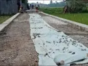 Betonisasi di kampung bulak naris dan bulak Ebe desa Kampung Kelor “LSM geram minta di koring”
