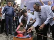 8 Kilogram Ganja dari Medan Dimusnahkan di Kota Tangerang 8 Kilogram Ganja dari Medan Dimusnahkan di Kota Tangerang